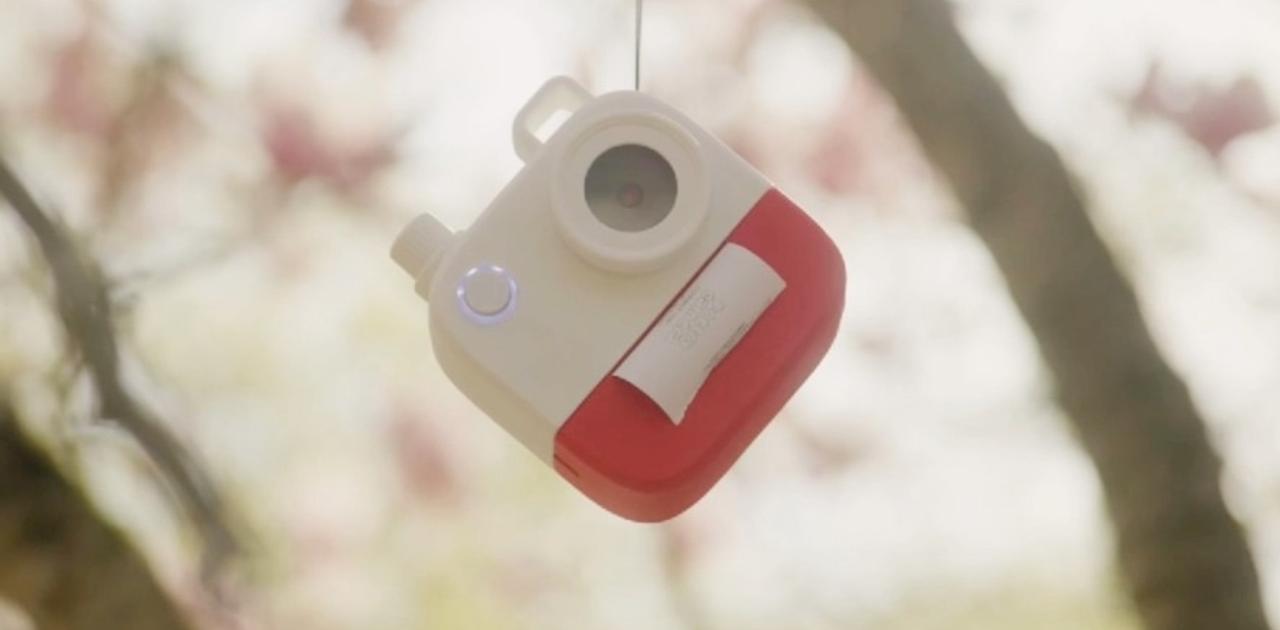 ステキじゃない？ AIカメラが詩を紡ぐ