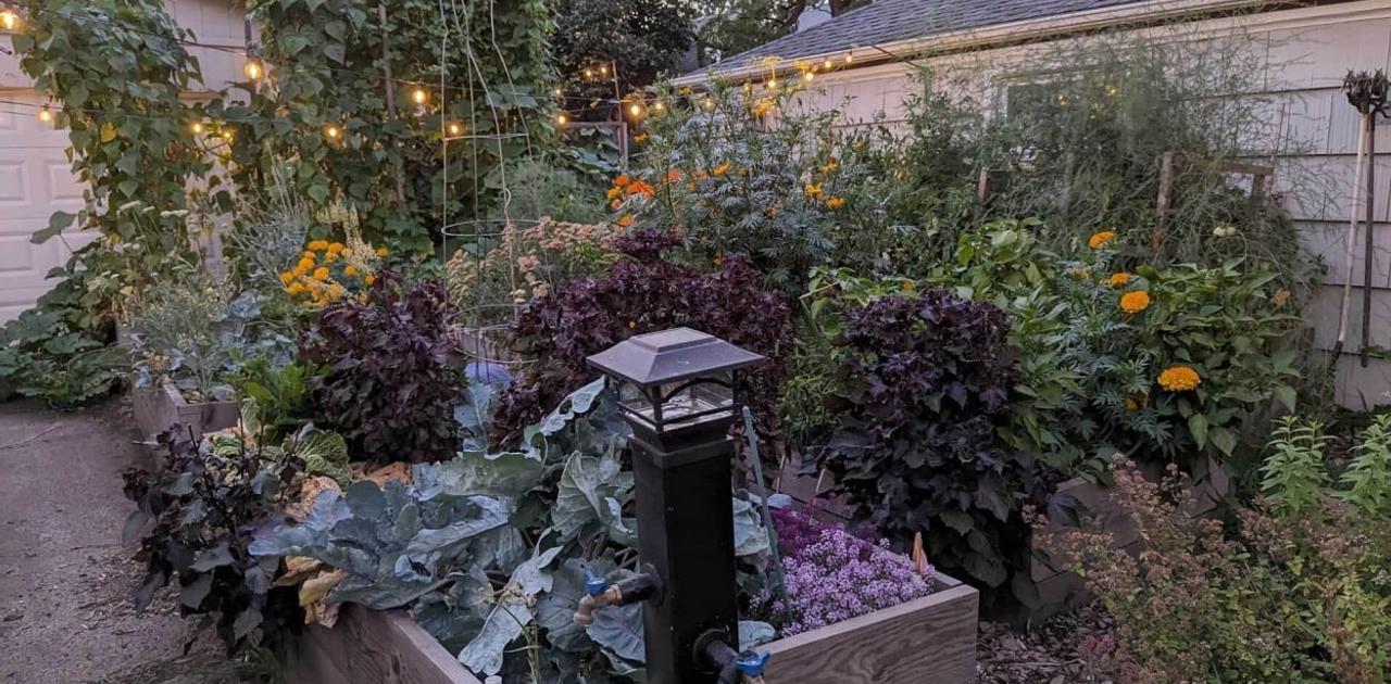 もう「植える場所がない…」とは言わせない！ 家庭菜園の「縦活用」でスペースを賢く生み出すコツ | ライフハッカー・ジャパン